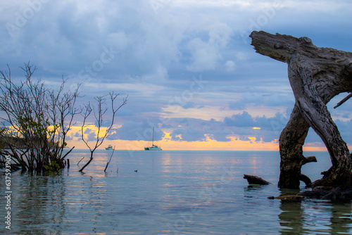 Wathumba Creek, Fraser Island, K'gari