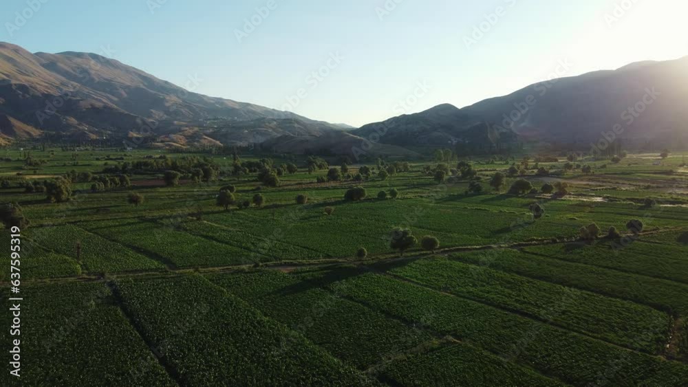 A vast valley surrounded by mountains. Agricultural land and fruit and vegetable cultivation A vast valley surrounded by mountains. Agricultural land and fruit and vegetable cultivation