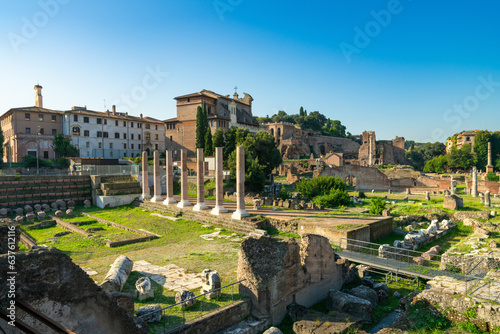Ruins of the Roman Forum in Rome, Italy