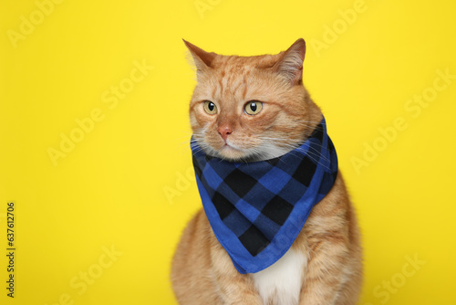 Cute ginger cat with bandana on yellow background, space for text. Adorable pet