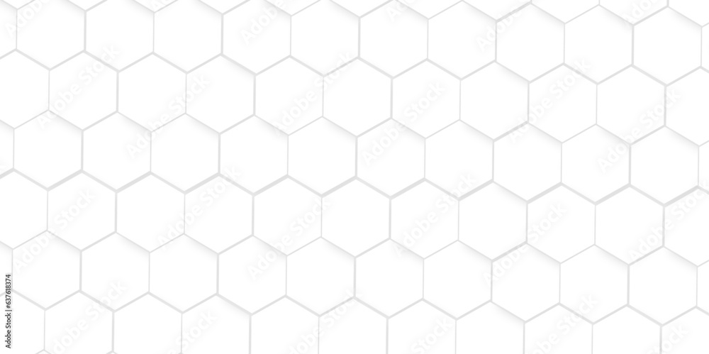 Background with white and black lines 3d Hexagonal structure futuristic white background and Embossed Hexagon , honeycomb white Background ,light and shadow ,Vector. Background with white and black lines 3d Hexagonal structure futuristic white background and Embossed Hexagon , honeycomb white Background ,light and shadow ,Vector.