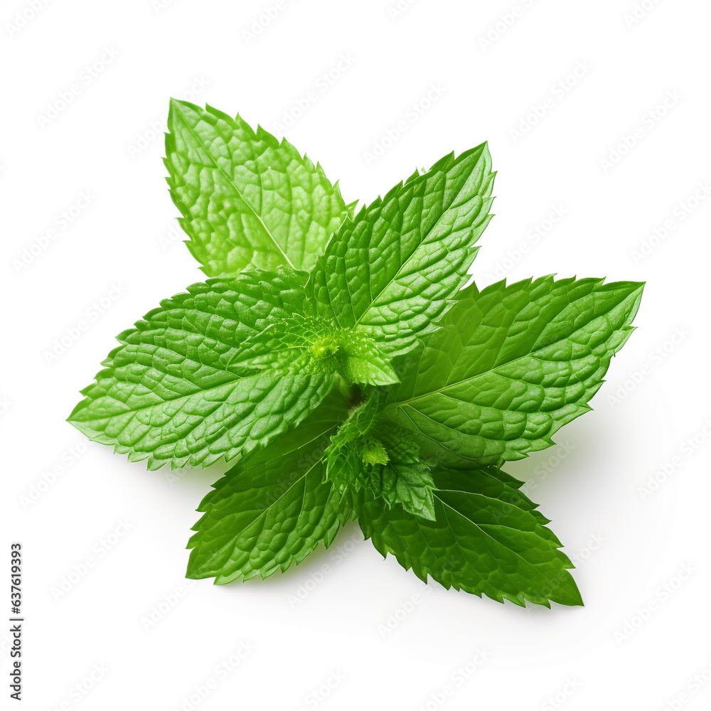 Mint leaves on white background.