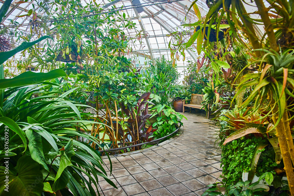 Curving tile pathway leading to bench inside Conservatory of Flowers full of plants