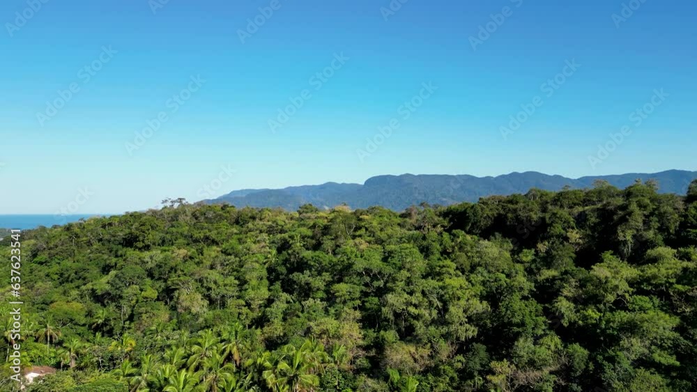 aerial view in nature, with mountains, forest, clear sky aerial view in nature, with mountains, forest, clear sky