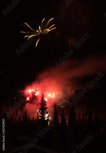 fireworks in sky above trees colorful sparks of light exploding with black background celebration of new years eve long weekend labour day or victoria day or july 4th night firework display in forest