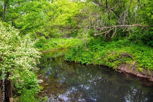 An overlooking view of nature in River Falls, Wisconsin