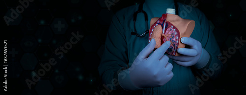 The doctor holds an anatomy model, explains lung diseases and damage. The alveoli are shown. healthcare professional isolated on dark background. Lung cancer, alveolar proteinosis of the lung photo