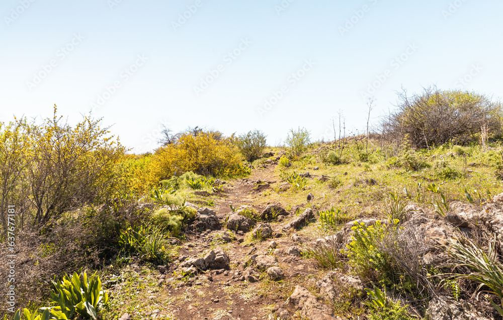 Tourist trail leading along the route in the Yehudia National Nature Park in northern Israel Tourist trail leading along the route in the Yehudia National Nature Park in northern Israel