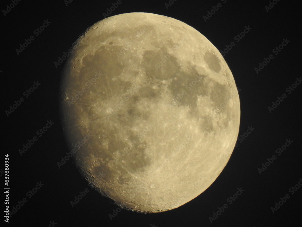 Fototapeta premium full moon in the night