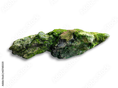 a stone covered in moss and ferns isolated on white background