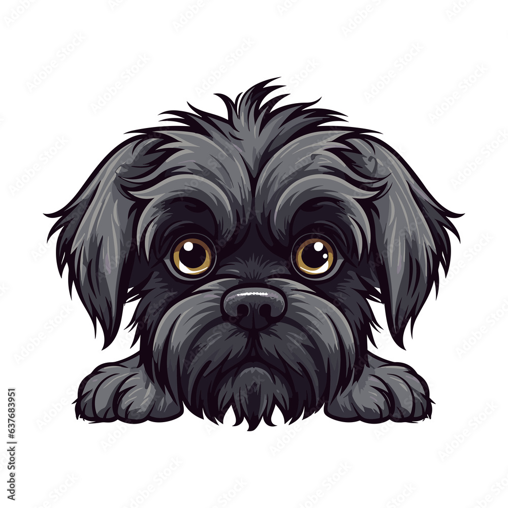 Affenpinscher Dog peeps, Puppy Peeking Out from Behind Table with Copy Space