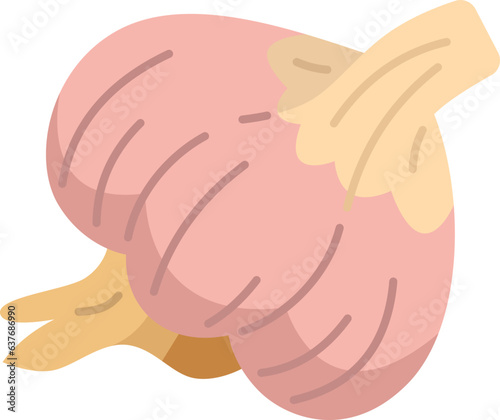 garlic  icon