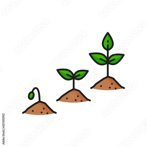 Plant growth stages agriculture color line icon. Seedling cultivation thin line vector symbol with sprout grow progress, agriculture harvest icon. Seed germination, agronomy outline sign