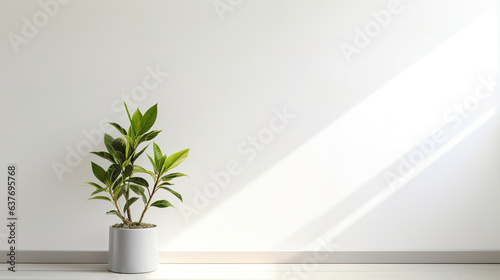 a modern white wall with a potted indoor plant in one corner.Generative Ai