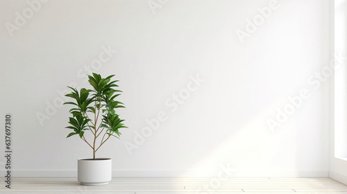 a modern white wall with a potted indoor plant in one corner.Generative Ai