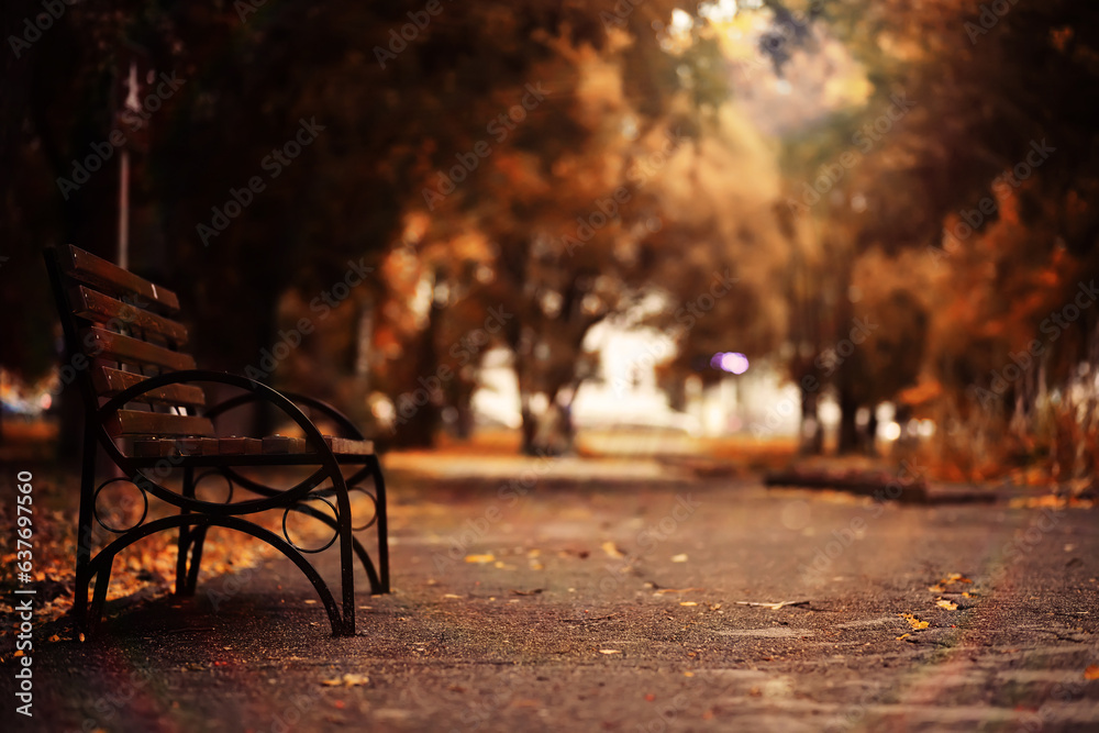 Autumn park bench, rainy texture background. Rain in autumn park, drops of water, wind.