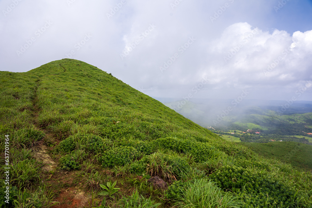 Naklejka premium A view from the top of Devaramane hills, Chikamagalore