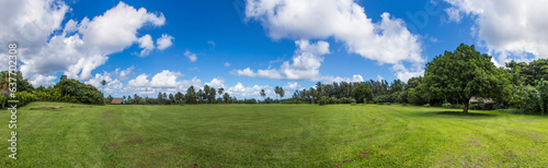 Fototapeta Naklejka Na Ścianę i Meble -  Panorama of Hawaii's landscape