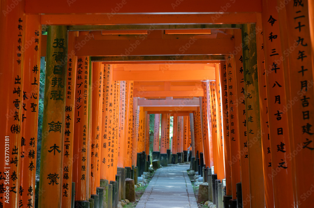 The Shrine of the Thousand Torii Gates. Fushimi Inari Shrine. It is famous for its thousands of vermilion torii gates. Japan