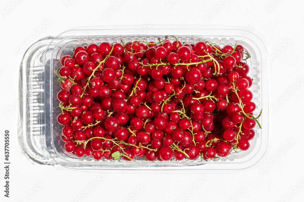Red currant closeup in a plastic box Red currant closeup in a plastic box