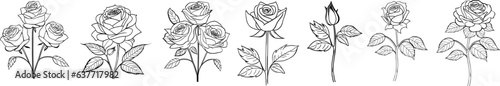 Rose Flower Vector Collection
