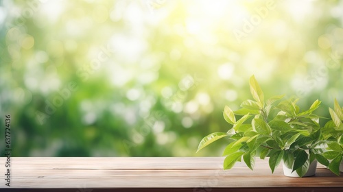 Soft blurred garden leaves view from living room window - abstract natural spring background