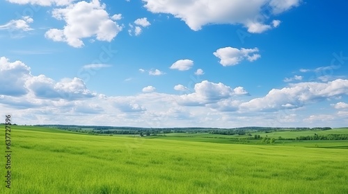 Beautiful panoramic natural landscape, Green field and blue sky with clouds Landscape, green field and blue sky