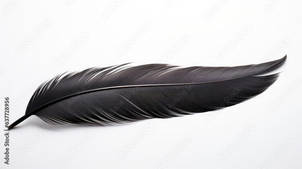 A captivating photograph of a sleek black feather, its intricate filaments revealed in detail, creating a striking contrast as it's gracefully laid against the stark purity of a white surface. A captivating photograph of a sleek black feather, its intricate filaments revealed in detail, creating a striking contrast as it's gracefully laid against the stark purity of a white surface.