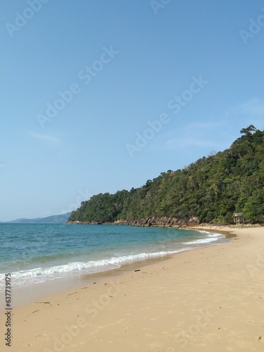 beach with trees © Boss amulet