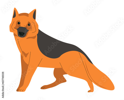 German Shepherd animal breed  canine dog pets