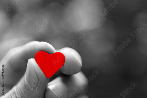 Hand holding a red heart photo