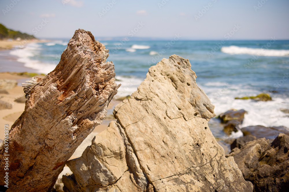 landscape with the shore of the Black Sea in Bulgaria on a summer day.
