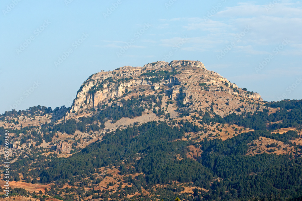 Evening view of a limestone hill and juniper forest at the foot of the hill as part of the central Taurus Mountains in the Arslankoy village of Mersin province.