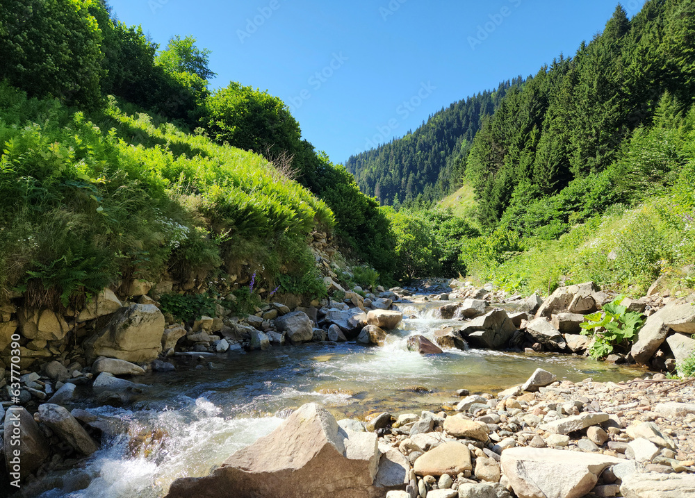 Partial view of the Tamdere Creek in Tamdere village in Dereli, Giresun Partial view of the Tamdere Creek in Tamdere village in Dereli, Giresun