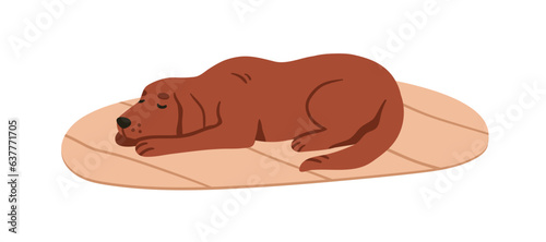 Cute dog sleeping, lying on carpet at home. Lovely adorable doggy pet asleep on floor rug, mat. Puppy, canine animal napping, dreaming, relaxing. Flat vector illustration isolated on white background