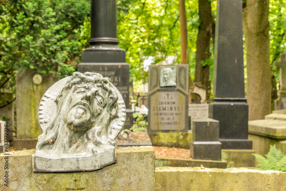 Obraz premium Warsaw, Poland 14 June 2023: Old Powązki Cemetery in Warsaw.