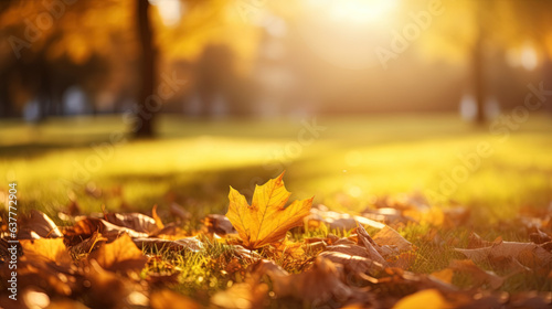 Idyllic fall leaf meadow background in sunshine. Autumn park. Generative AI.
