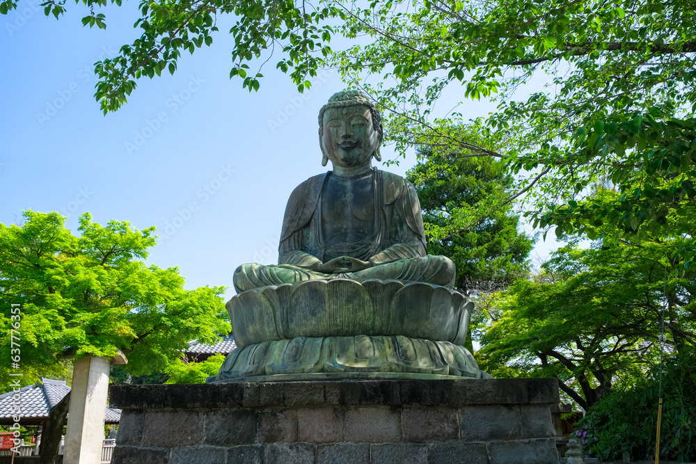 東京都文京区 護国寺 大仏