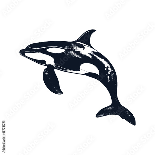 Orca Killer Whale Sea Animal Sketch Vector Illustration