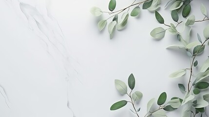Eucalyptus branches on pastel gray background with copy space Top view. Mockup image