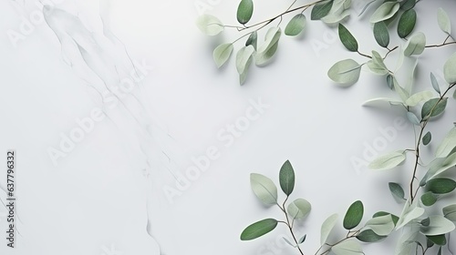 Fotografija Eucalyptus branches on pastel gray background with copy space Top view