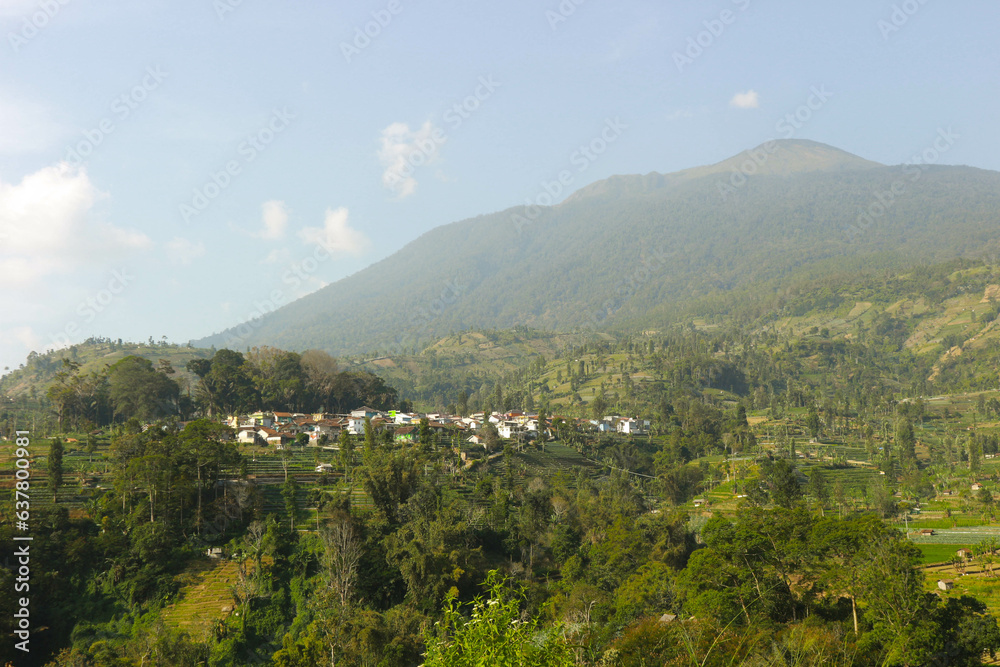 Views of mountains and terraced rice fields Pictures of Natural Scenery in Indonesia