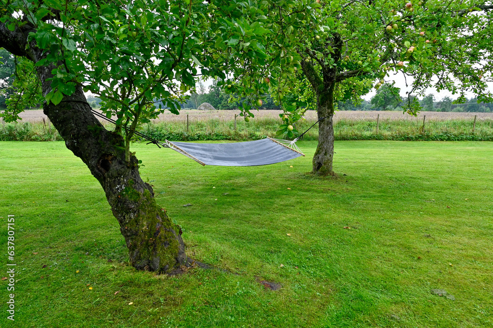 Big garden with two apple trees and a hammock