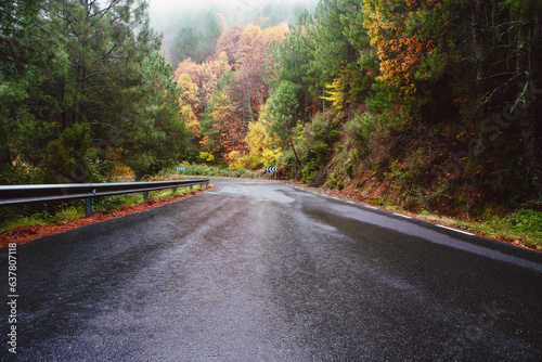 wet road in the fall