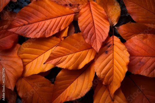 A stack of vibrant orange leaves in a nature setting
