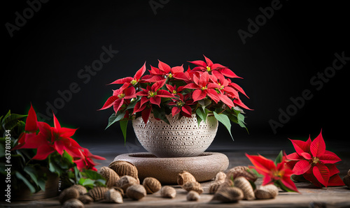 Poinsettia flower in a vase on the table.