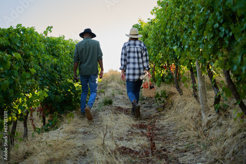 Rear view of young multiracial couple in casual clothing walking with fresh harvest on farm
