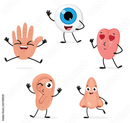 Cute five human senses organs cartoon character