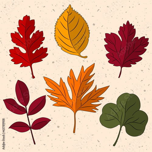 Set of autumn leaves. Isolated