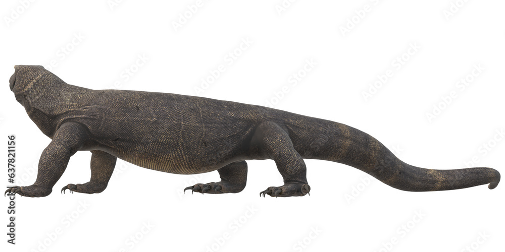 Comodo Dragon isolated on a Transparent Background Comodo Dragon isolated on a Transparent Background